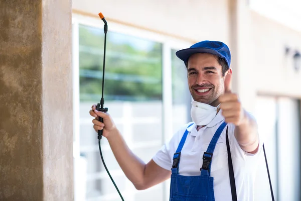 Cedar Hill Wasp Removal