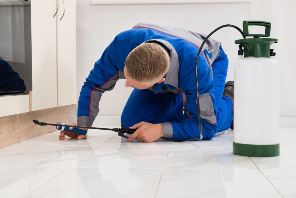 Cedar Hill Ant Control Xperts
