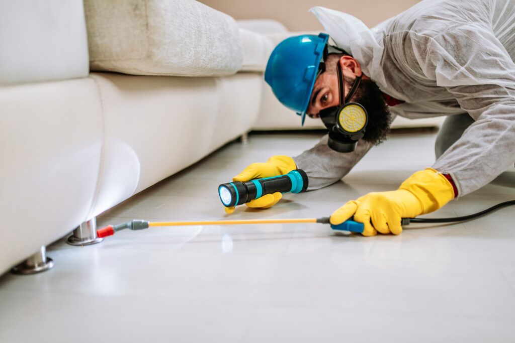 Cedar Hill Termite Control