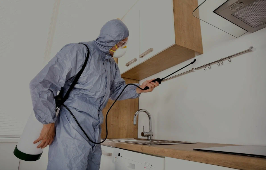 Cedar Hill pest managment